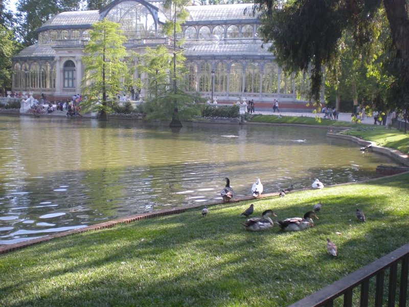 Original image